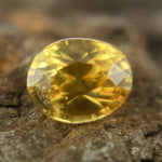 Natural Yellow Sapphire - Sapphirepal