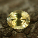 Natural Yellow Sapphire - Sapphirepal