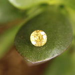 Natural Yellow Zircon - Sapphirepal