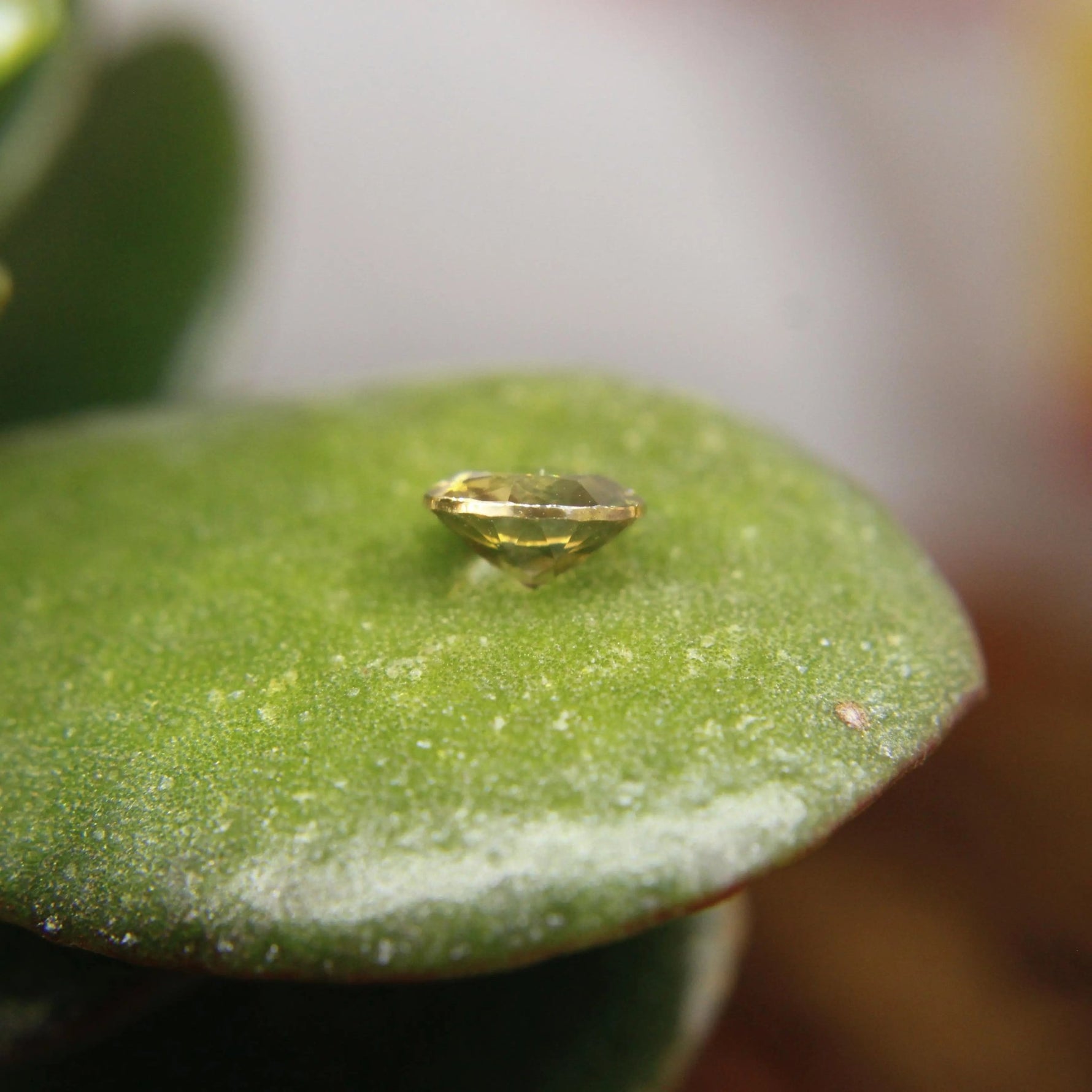 Natural Yellow Zircon - Sapphirepal