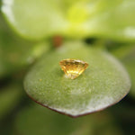 Natural Yellow Zircon - Sapphirepal