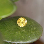 Natural Yellow Zircon - Sapphirepal