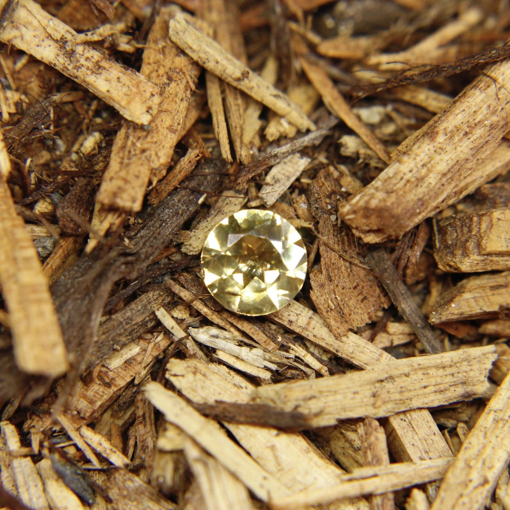 Natural Yellow Zircon - Sapphirepal