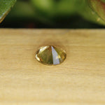 Natural Yellow Zircon - Sapphirepal