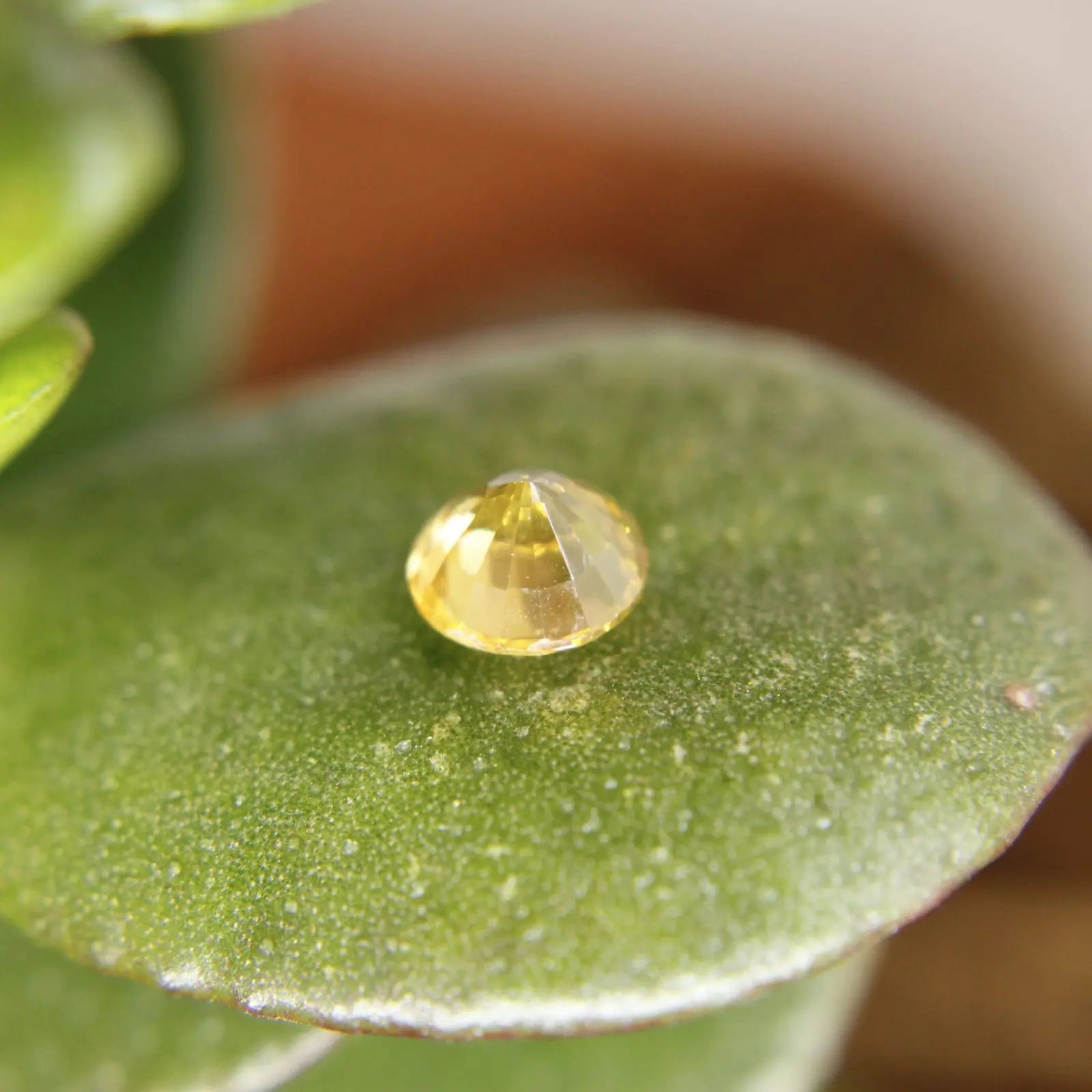 Natural Yellow Zircon - Sapphirepal