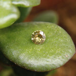 Natural Yellow Zircon - Sapphirepal