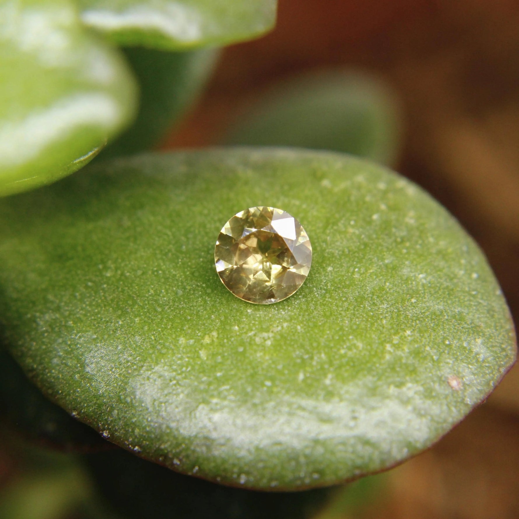 Natural Yellow Zircon - Sapphirepal