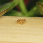 Natural Yellow Zircon - Sapphirepal