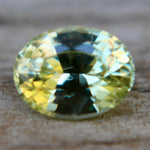 Natural Yellowish Green Sapphire - Sapphirepal