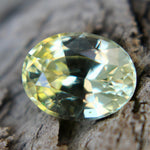 Natural Yellowish Green Sapphire - Sapphirepal