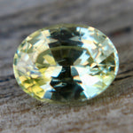 Natural Yellowish Green Sapphire - Sapphirepal