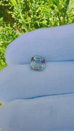Rare Ceylon green pink parti sapphire cushion cut gemstone with gemstone authenticity confirmation card