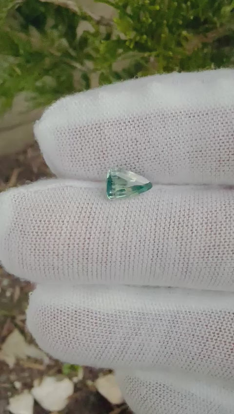 Natural Parti Sapphire – 1.02 Carat Trillion| Unheated Loose Gems